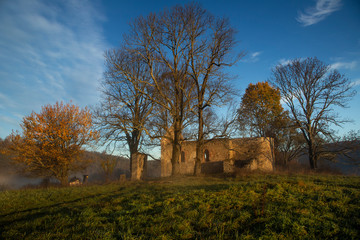 Ruins of the church in Bieszczady
