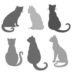 Cats on white. Hand drawn animals on isolation background. Black and white illustration. Doodles for icons