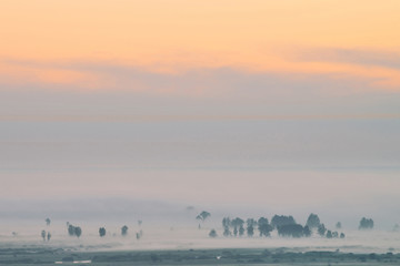 Mystic view on forest under haze at early morning. Mist among tree silhouettes under predawn sky. Gold light reflection in water. Calm morning atmospheric minimalistic landscape of majestic nature.