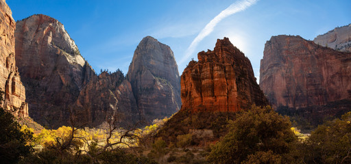 Fototapeta na wymiar Beautiful panoramic landscape view of the Mountain Peaks in the Canyon during a sunny day. Taken in Zion National Park, Utah, United States.