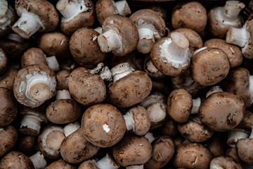 fresh brown champignons in high quality at close range