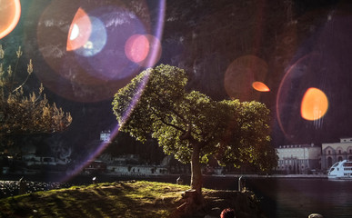 viaggio alla scoperta della natura