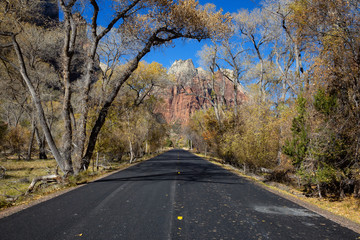 Fototapeta premium Scenic road in the Canyons during a sunny day in Fall Season. Taken in Zion National Park, Utah, United States.