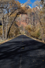 Scenic road in the Canyons during a sunny day in Fall Season. Taken in Zion National Park, Utah, United States.