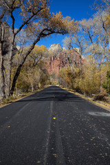 Fototapeta premium Scenic road in the Canyons during a sunny day in Fall Season. Taken in Zion National Park, Utah, United States.