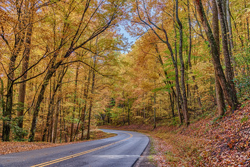 Curving Smoky Mountain Road With Autumn Colors