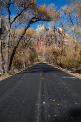 Fototapeta premium Scenic road in the Canyons during a sunny day in Fall Season. Taken in Zion National Park, Utah, United States.