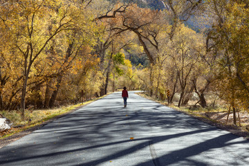 Girl walking in the middle of a Scenic Road during a sunny day in Fall Season. Taken in Zion National Park, Utah, United States.