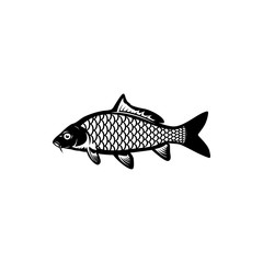 carp fish, fishing symbol