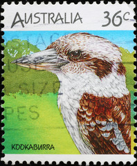 Close-up of kookaburra on australian stamp