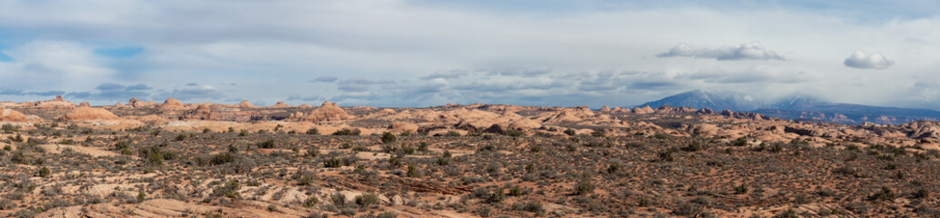 Panoramic Landscape view of beautiful red rock canyon formations during a vibrant sunny day. Taken in Arches National Park, located near Moab, Utah, United States.