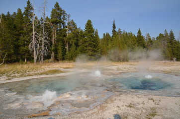 NORRIS GEYSER BASIN YELLOWSTONE NATIONAL PARK (WYOMING) USA