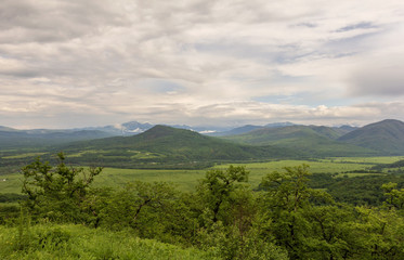 Obraz premium Subalpine forest mountain in the sunny day.