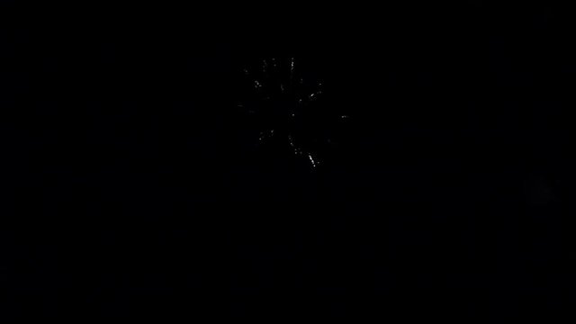 Semicircle of purple, red, white firework element on black background.