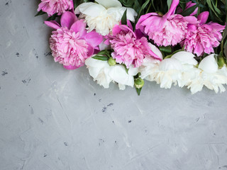 pink and white peonies on gray stone background, copy space for your text top view and flat lay style.