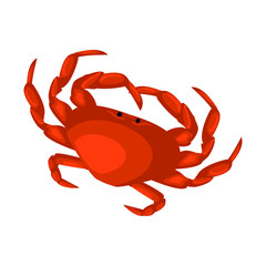 Crab. Marine animal. Vector illustration. EPS 10.
