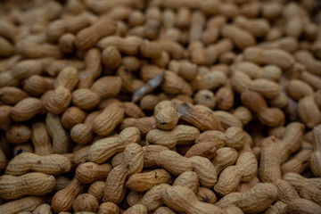 many peanuts with shell