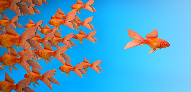 Schwarm Fische - Konzept einzigartig, mutig, Neues oder allein sein