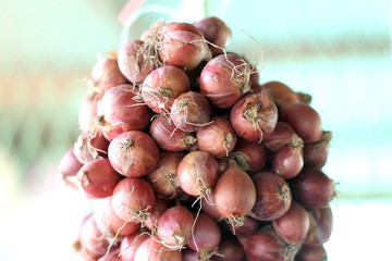 Thai home style red onion (shallot) hanging