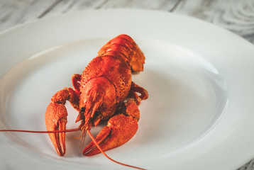 Dish of boiled crayfish with sauce