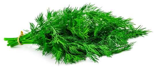 bunch fresh green dill isolated on white background