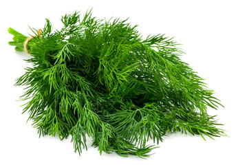 bunch fresh green dill isolated on white background