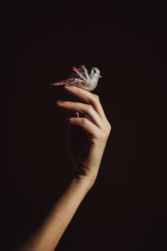 Hand Holding A Small Fake Bird