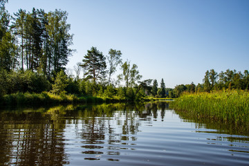 Obraz premium summer day on water in calm river enclosed in forests with sandstone cliffs and dry wood
