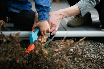 Grandmother And Grandchild Working in the Garden