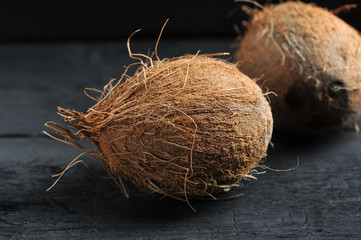 whole coconut on dark