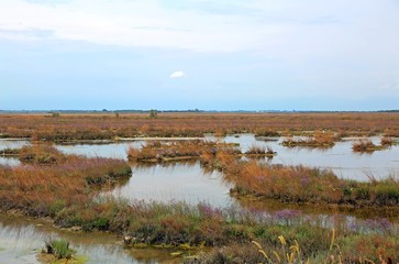 venetian lagoon near Venice in Northern Italy
