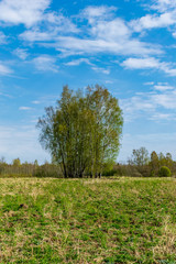 plain simple countryside spring landscape with fresh green meadows and forests
