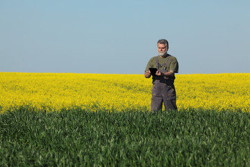 Farmer or agronomist inspecting quality of wheat and canola fields in early spring using tablet