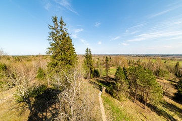 plain simple countryside spring landscape with fresh green meadows and forests