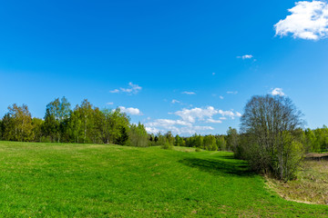 plain simple countryside spring landscape with fresh green meadows and forests