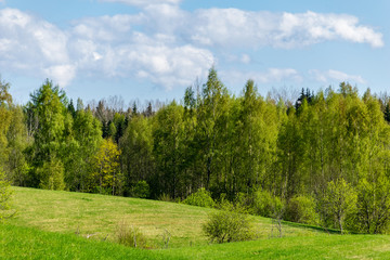 Fototapeta na wymiar plain simple countryside spring landscape with fresh green meadows and forests