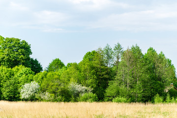 Obraz premium plain simple countryside spring landscape with fresh green meadows and forests