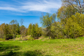 plain simple countryside spring landscape with fresh green meadows and forests