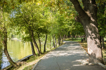 Paved walking path in Herastrau Park, Bucharest, Romania