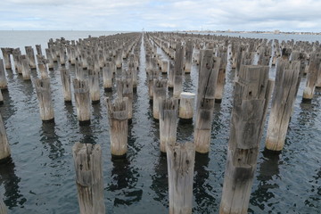 Holzpf&auml;hle im Meer