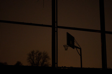basket of basketball