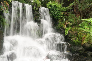 Fototapeta na wymiar Wunderschöner Wasserfall in Neuseeland