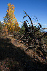 View on the Volga river and Zhiguli hills. The Autumn.
