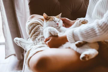 Fototapete Katze Mädchen mit Katze entspannt auf einem Sofa
