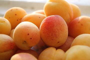 fresh apricots in a bowl