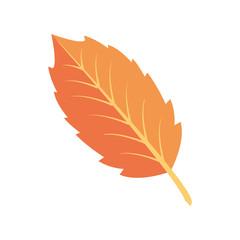 natural big leave color background