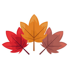 tree leaves color decoration background