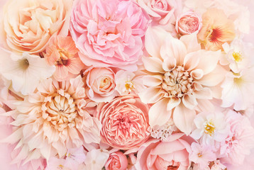 Floraison d& 39 été délicate rose et dahlia fleurs épanouies fond festif, carte florale pastel et bouquet doux, tonique