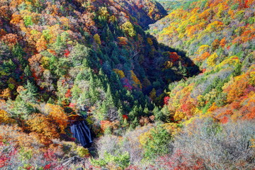 王滝と横谷峡の紅葉