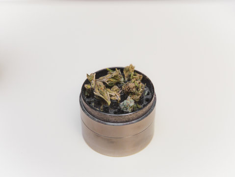 Cannabis or Marijuana Flower in Grinder